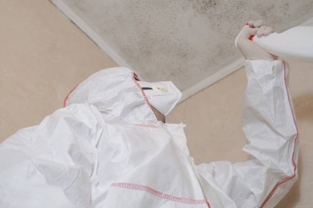 Best Mold Testing  in Buda, TX